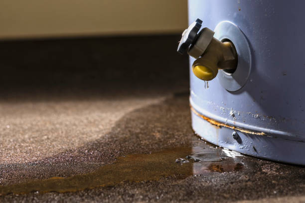 Best Local water damage restoration  in Llington, MI