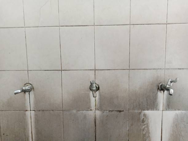 Best 24-hour water damage restoration  in Llington, MI