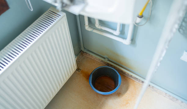 Best Flooded house restoration  in Llington, MI