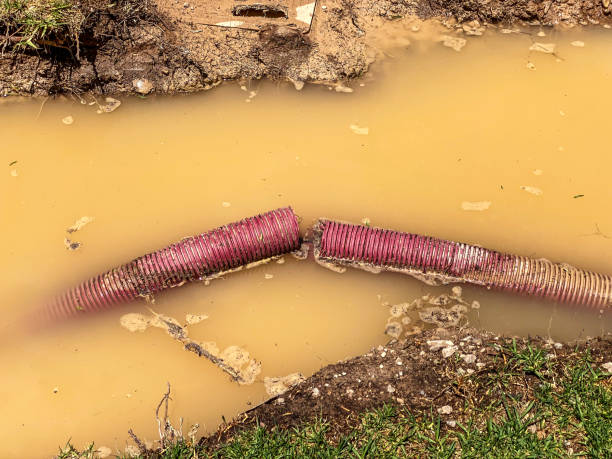 Best Water damage restoration near me  in Llington, MI