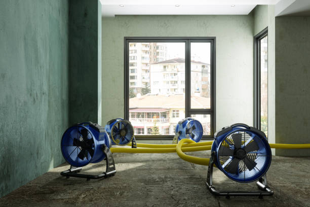 Best Emergency water damage restoration  in Llington, MI